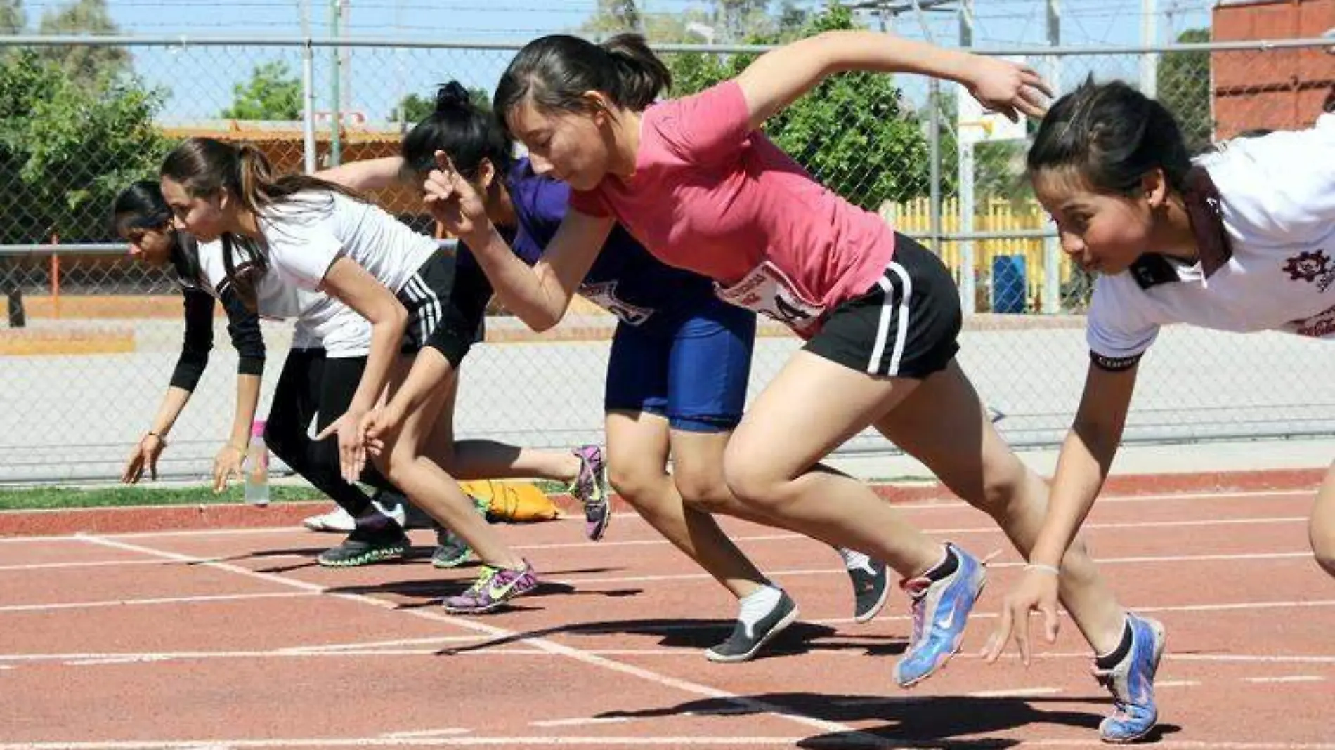 24 Semana de intensa actividad en la Deportiva Torreón